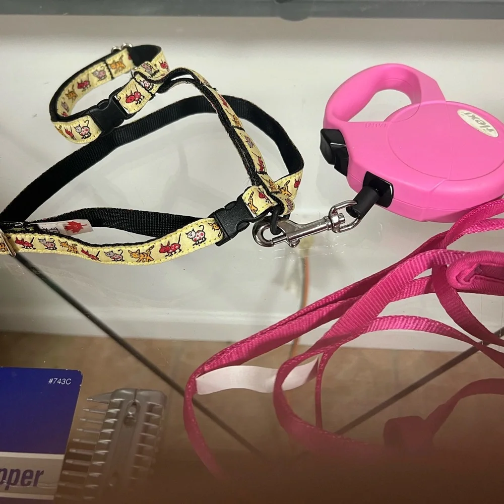 Pet accessories bundle